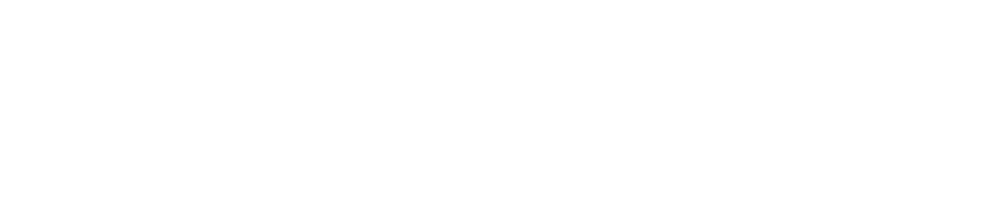 Styles Moving - logo
